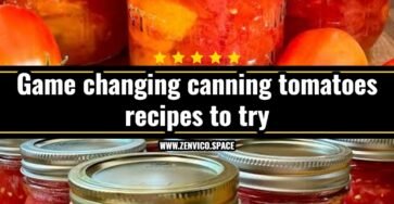 Best fresh tomato recipes for summer harvest
