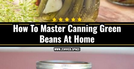 Easy Dilly Beans Recipe For Beginners